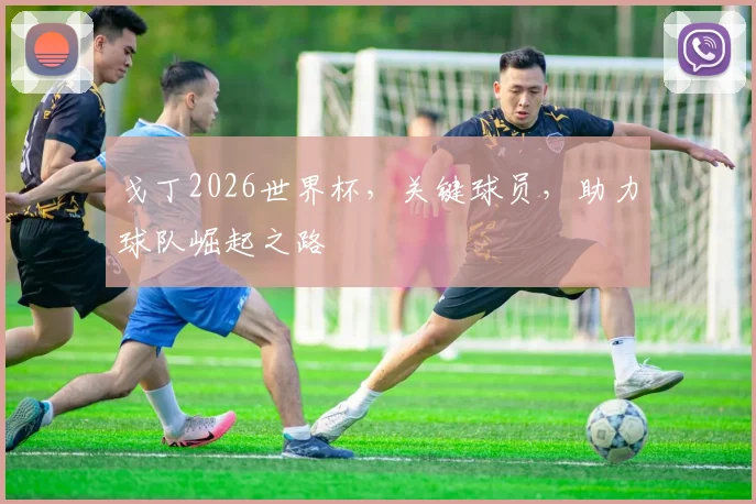 戈丁2026世界杯，关键球员，助力球队崛起之路