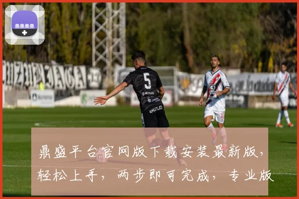 鼎盛平台官网版下载安装最新版，轻松上手，两步即可完成，专业版优先获取