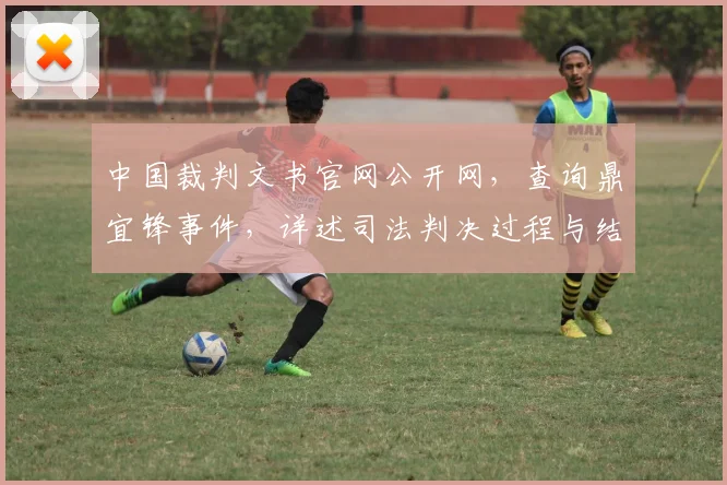 中国裁判文书官网公开网，查询鼎宜锋事件，详述司法判决过程与结果