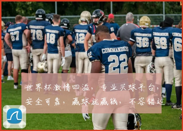 世界杯激情四溢，专业买球平台，安全可靠，赢球就赢钱，不容错过