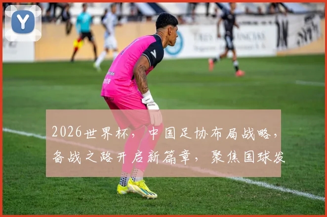 2026世界杯，中国足协布局战略，备战之路开启新篇章，聚焦国球发展
