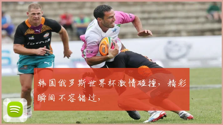 韩国俄罗斯世界杯激情碰撞，精彩瞬间不容错过，
