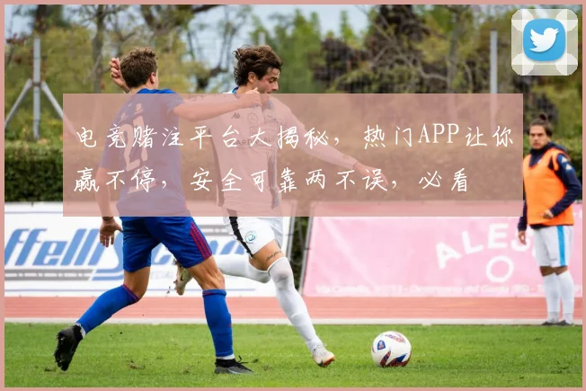 电竞赌注平台大揭秘，热门APP让你赢不停，安全可靠两不误，必看